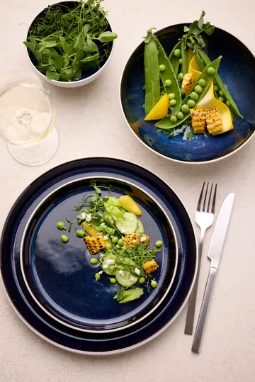 Bitz bol gastro Ø12 cm - Blanco-azul oscuro - Bitz