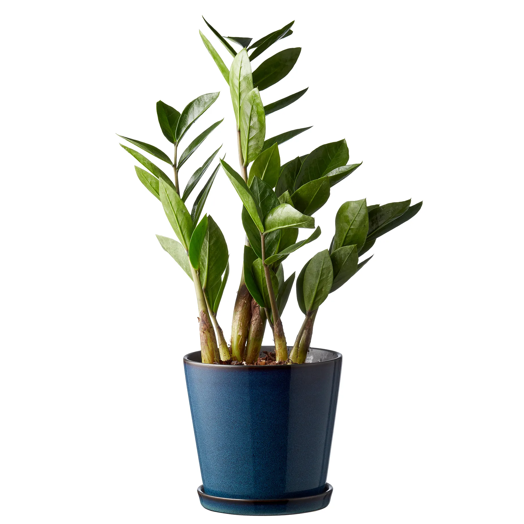 Maceta con plato Bitz Ø14 cm, azul oscuro-negro Bitz