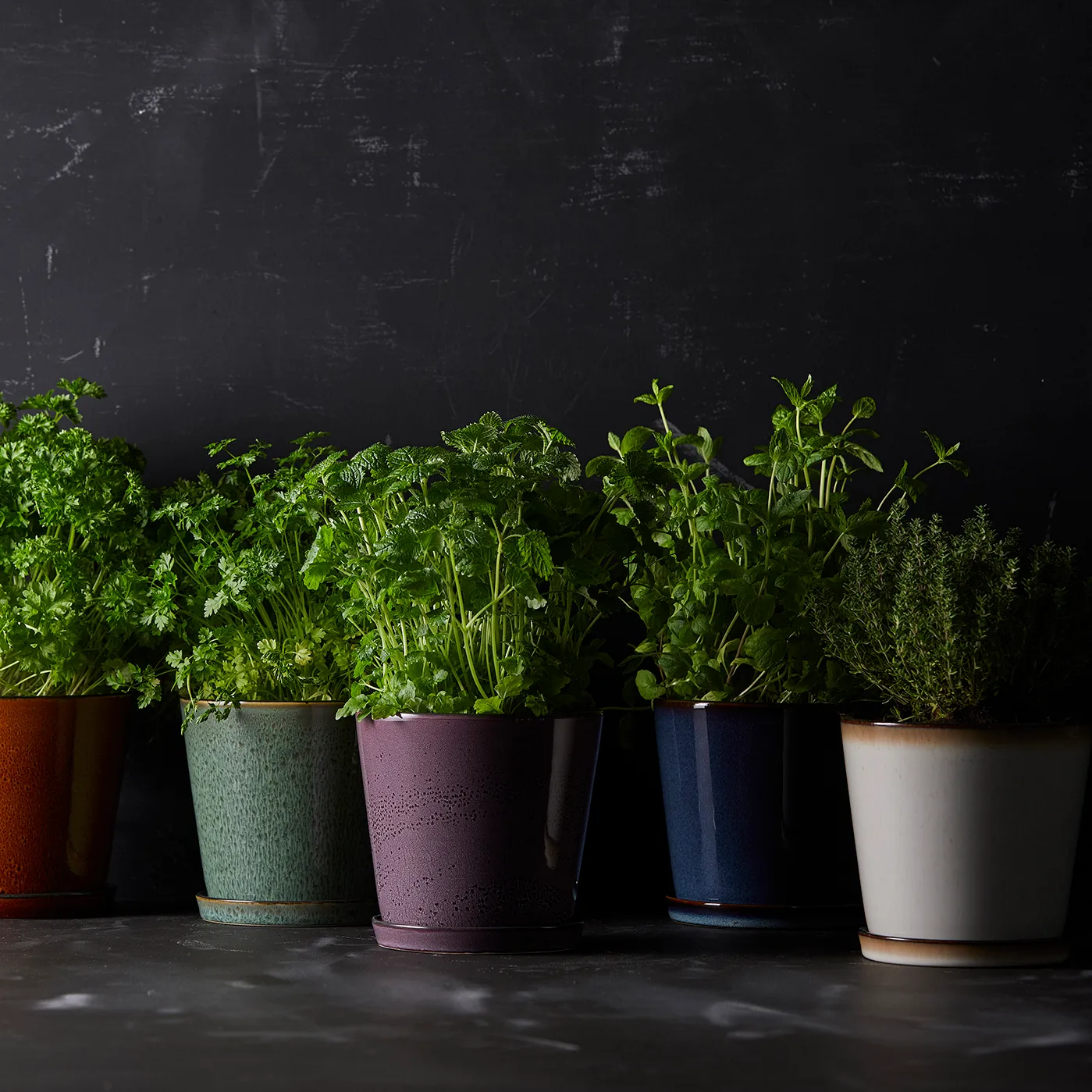 Maceta con plato Bitz Ø14 cm, blanco nata-negro Bitz