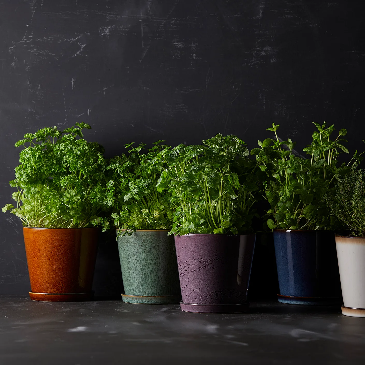 Maceta con plato Bitz Ø14 cm, verde-negro Bitz