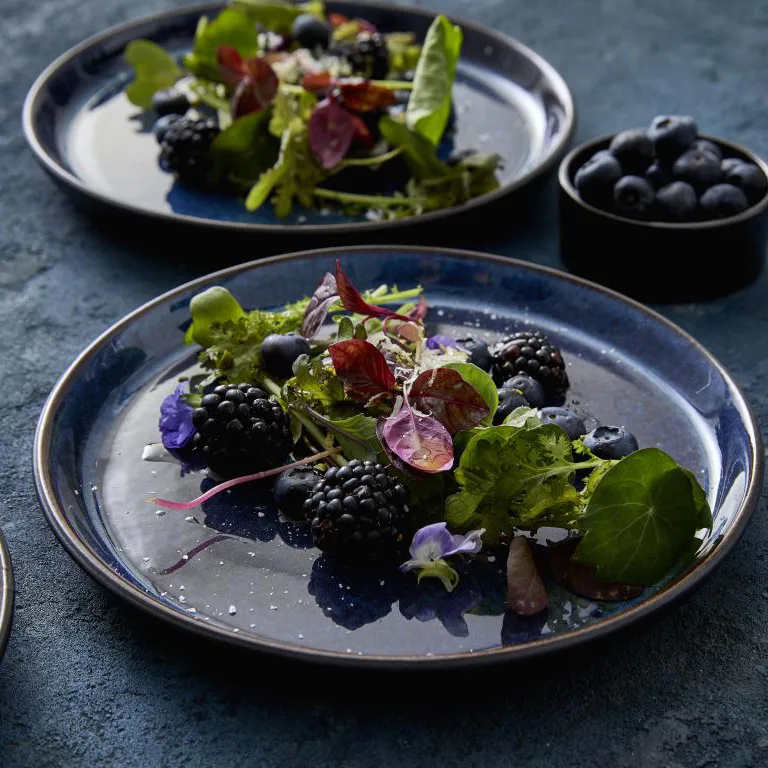 Plato Bitz gastro Ø 21 cm, negro-azul oscuro Bitz