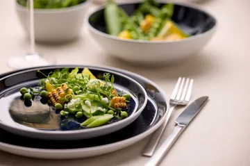 Plato Bitz gastro Ø27 cm - Blanco-azul oscuro - Bitz