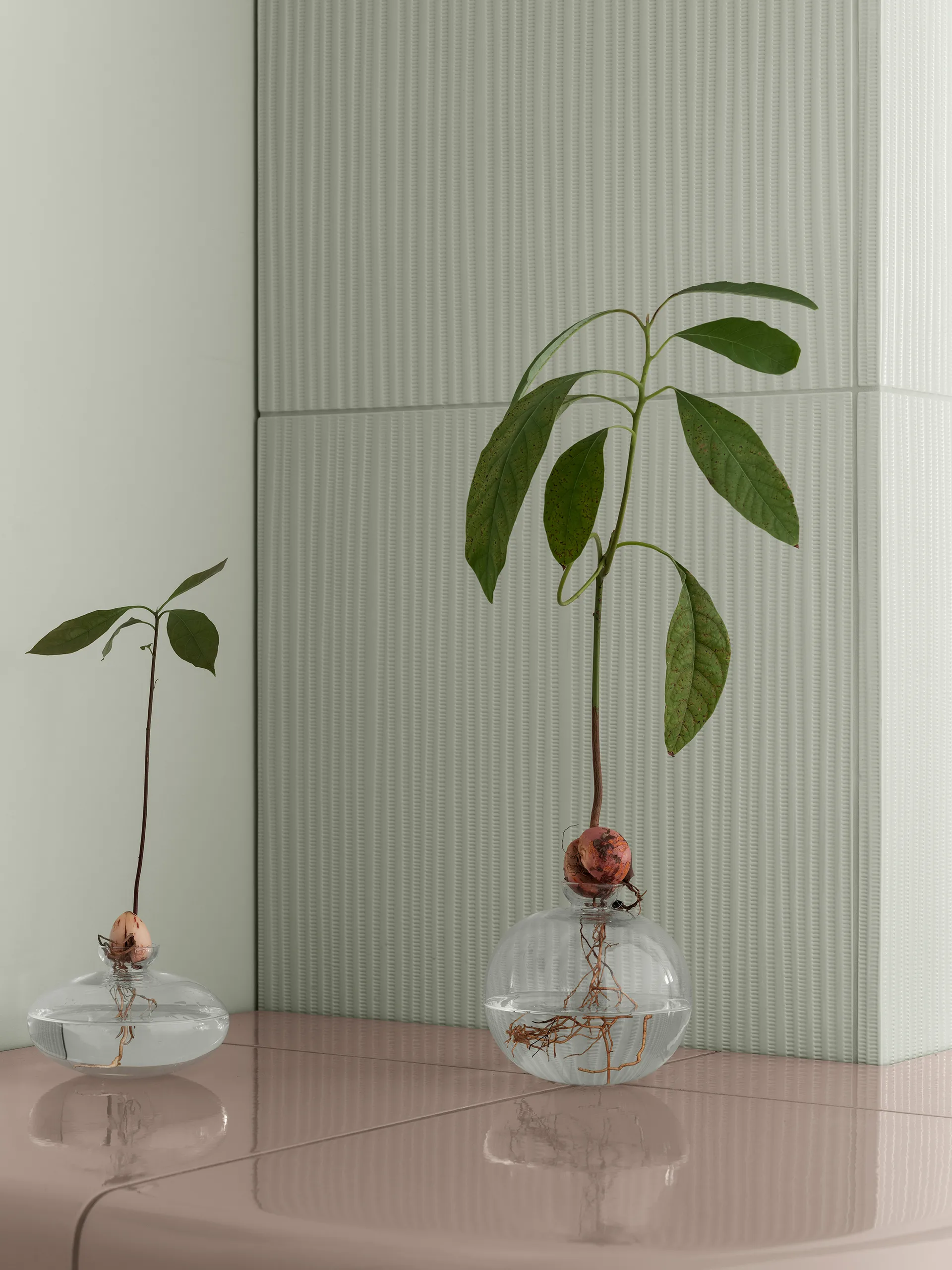 Jarrón Avo 14,5 cm, Claro blomus