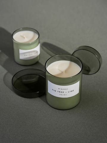 Vela aromática Valoa 45 horas - Fikon/Lime Agave Green - blomus