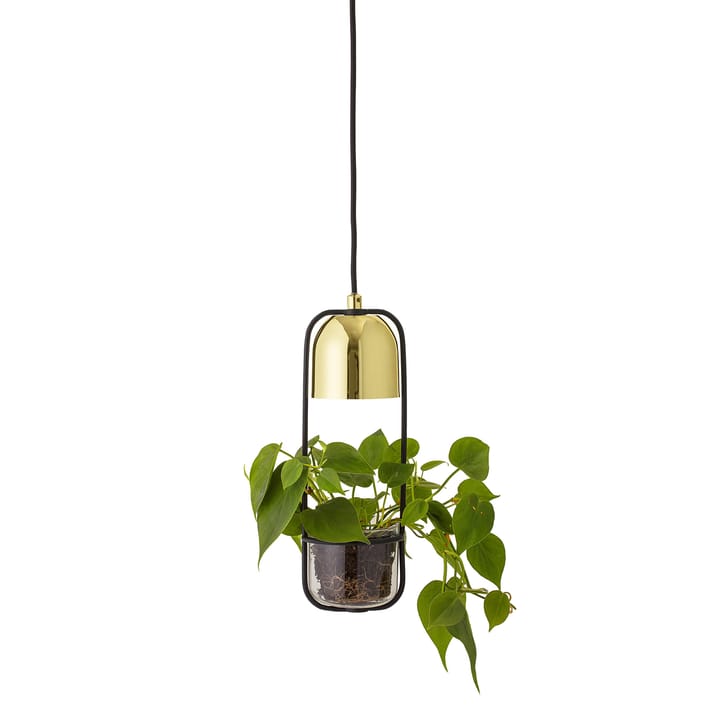 Lámpara de techo con maceta Bloomingville Ø10 cm - transparente-dorado - Bloomingville