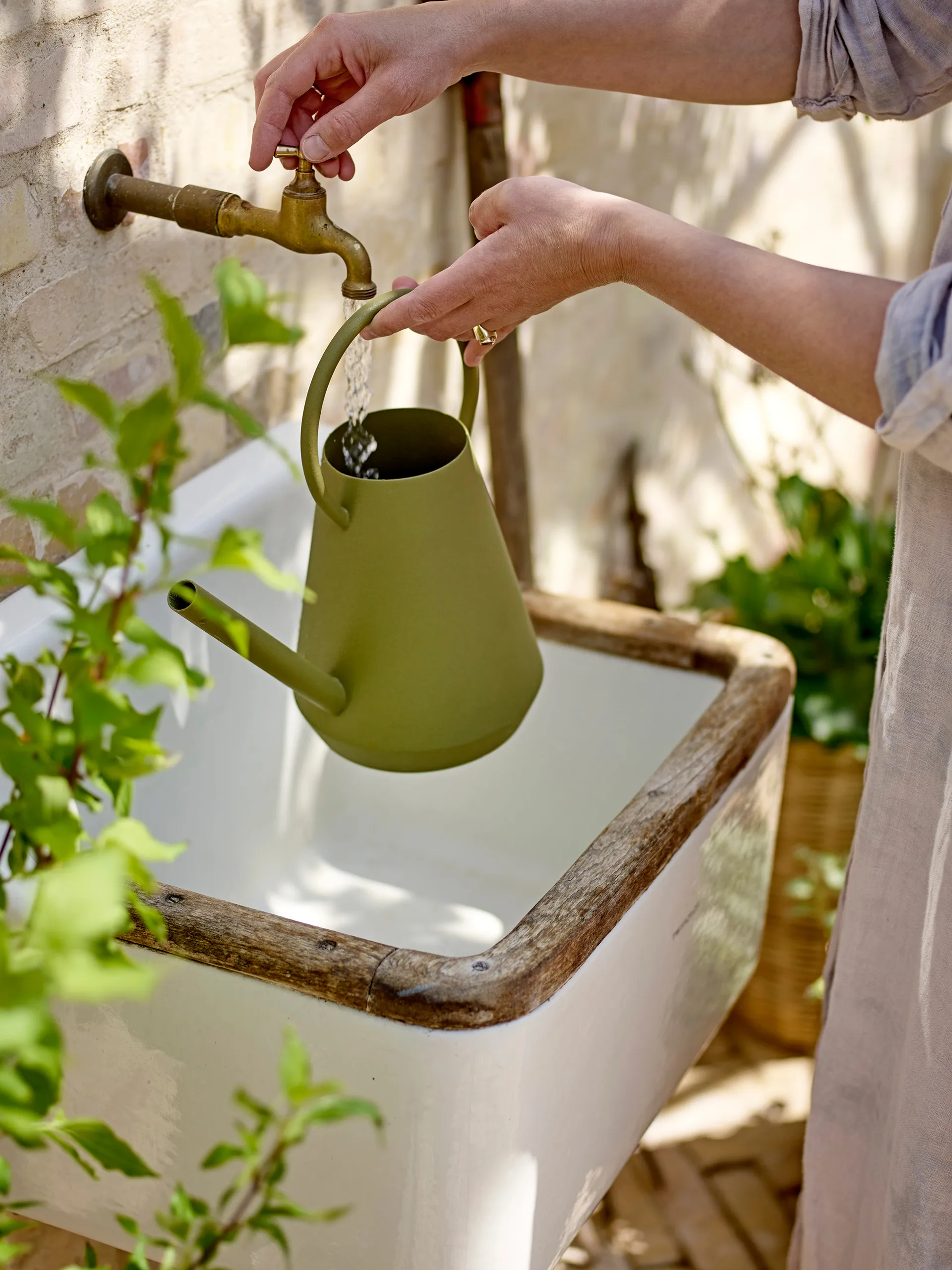 Regadera Vallis, Verde Bloomingville