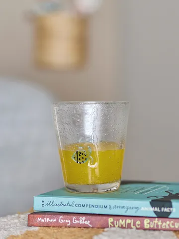 Vaso de bebida Finney 31 cl - Transparente - Bloomingville