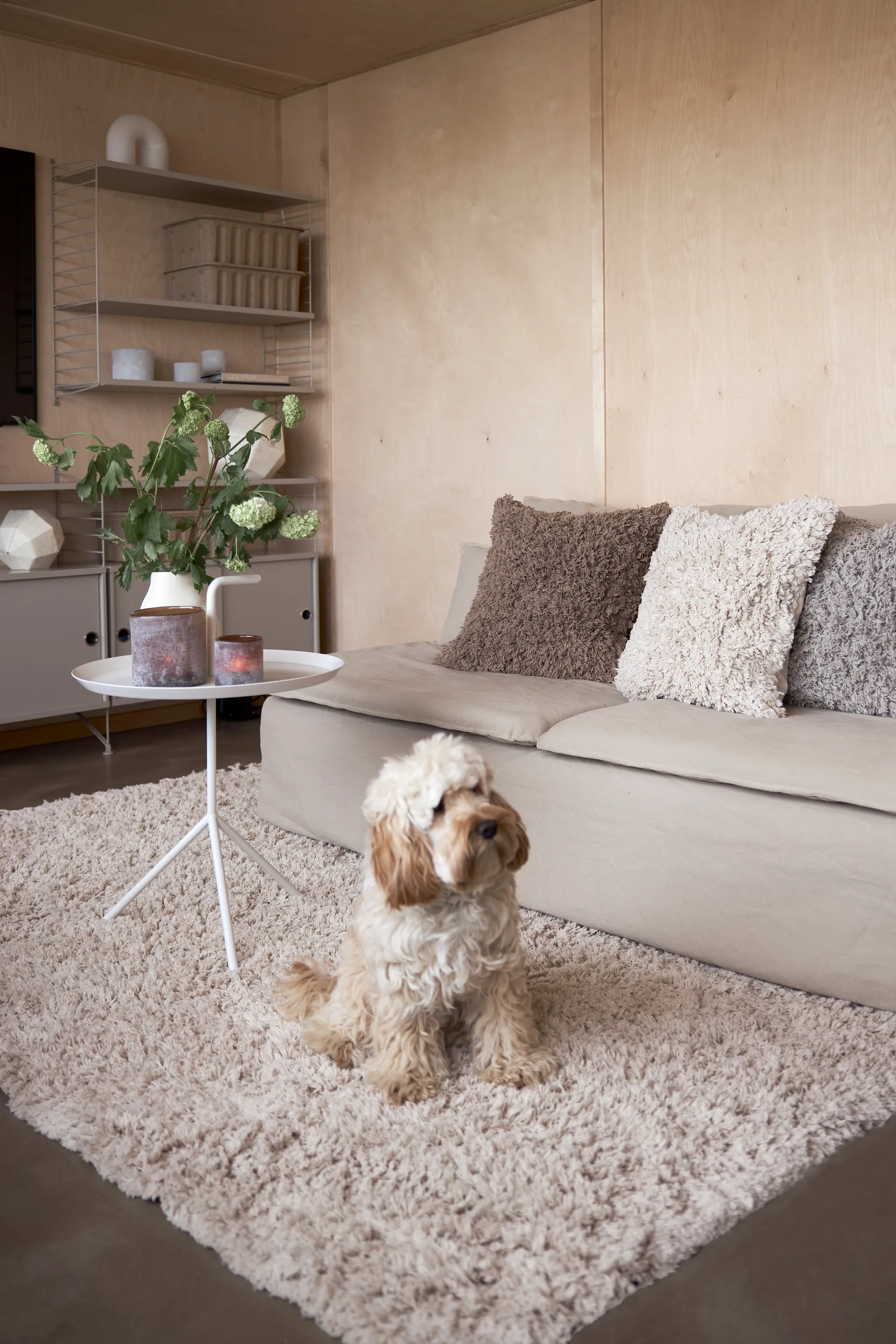 Alfombra de algodón Noma 160x230 cm, Beige Boel & Jan