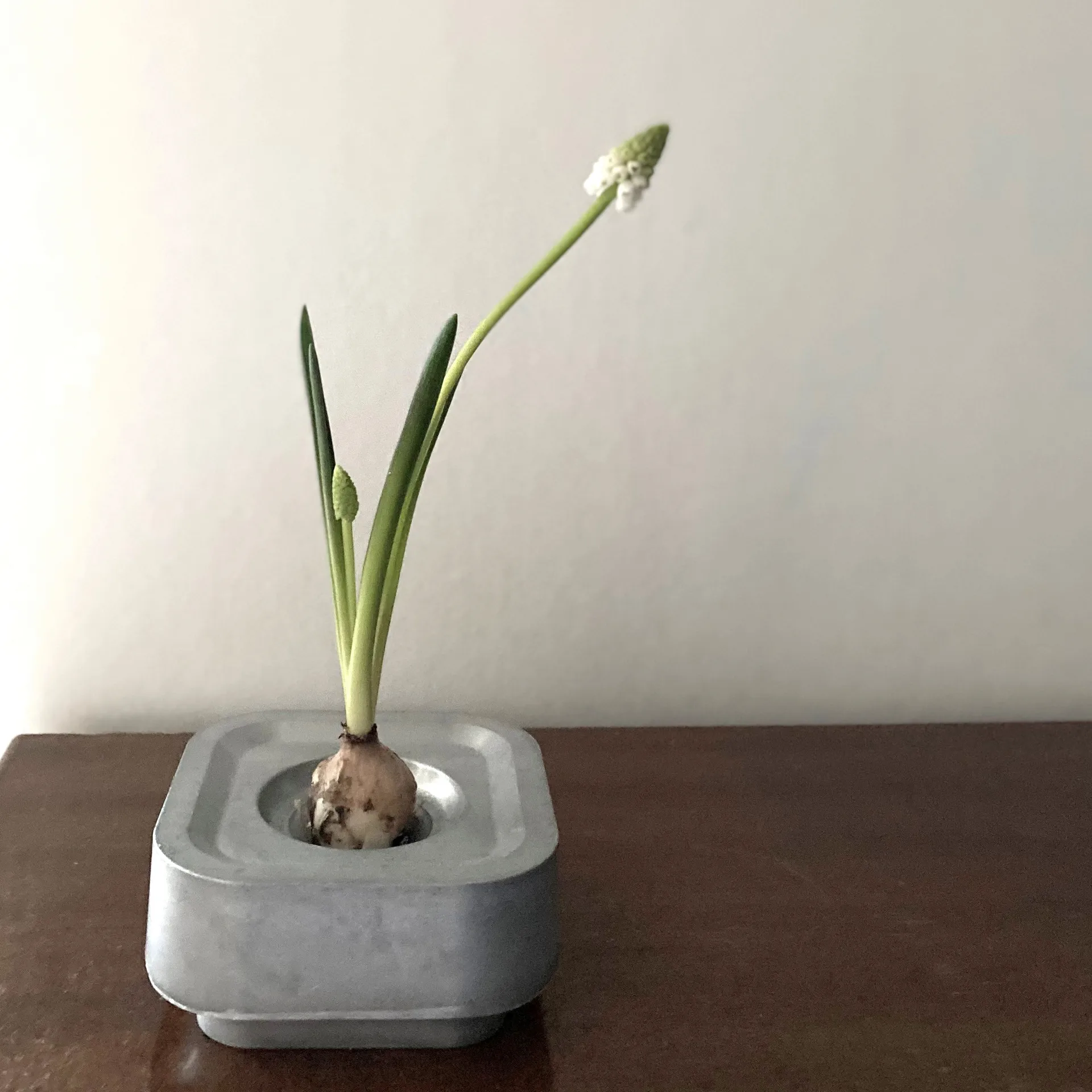 Candelabro Stumpastaken Ettan, Aluminio Born In Sweden