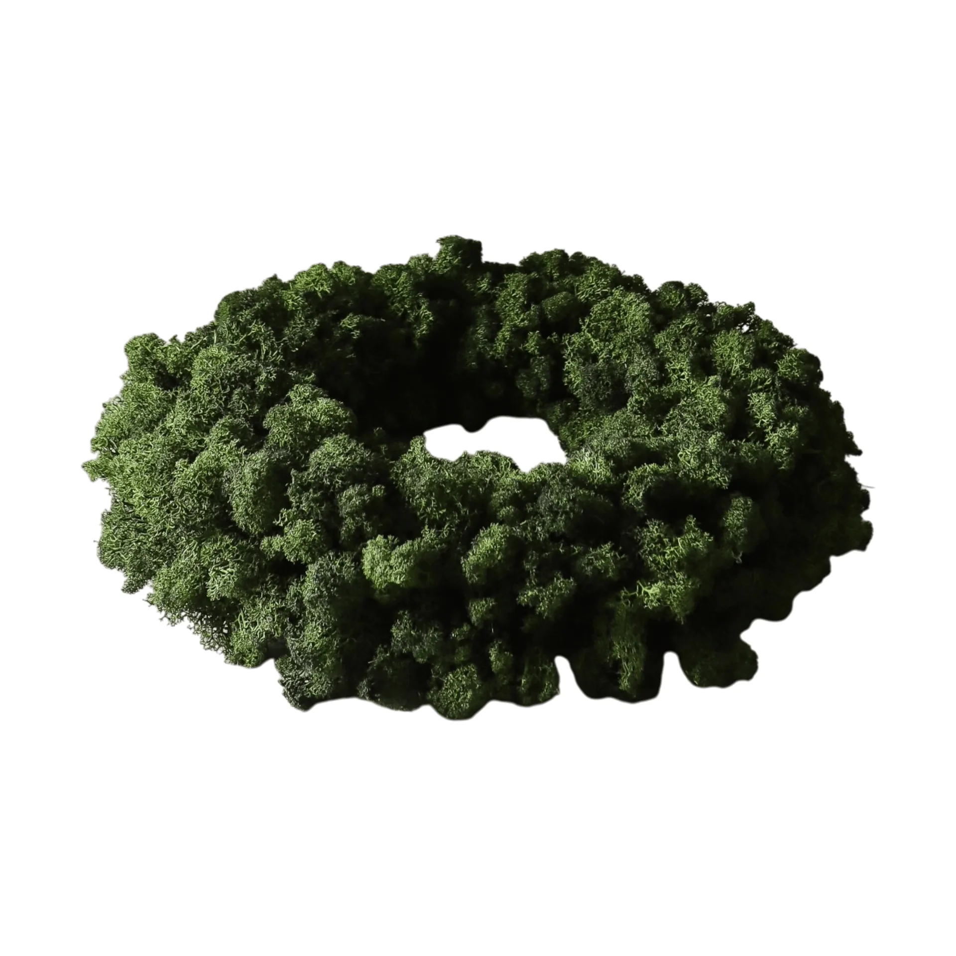 Corona de musgo Moss Wreath, Green, Ø40 cm Botané