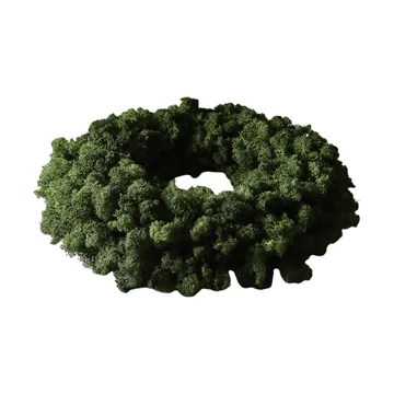 Corona de musgo Moss Wreath - Green, Ø40 cm - Botané