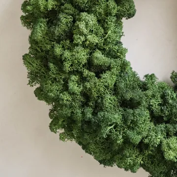 Corona de musgo Moss Wreath - Green, Ø40 cm - Botané