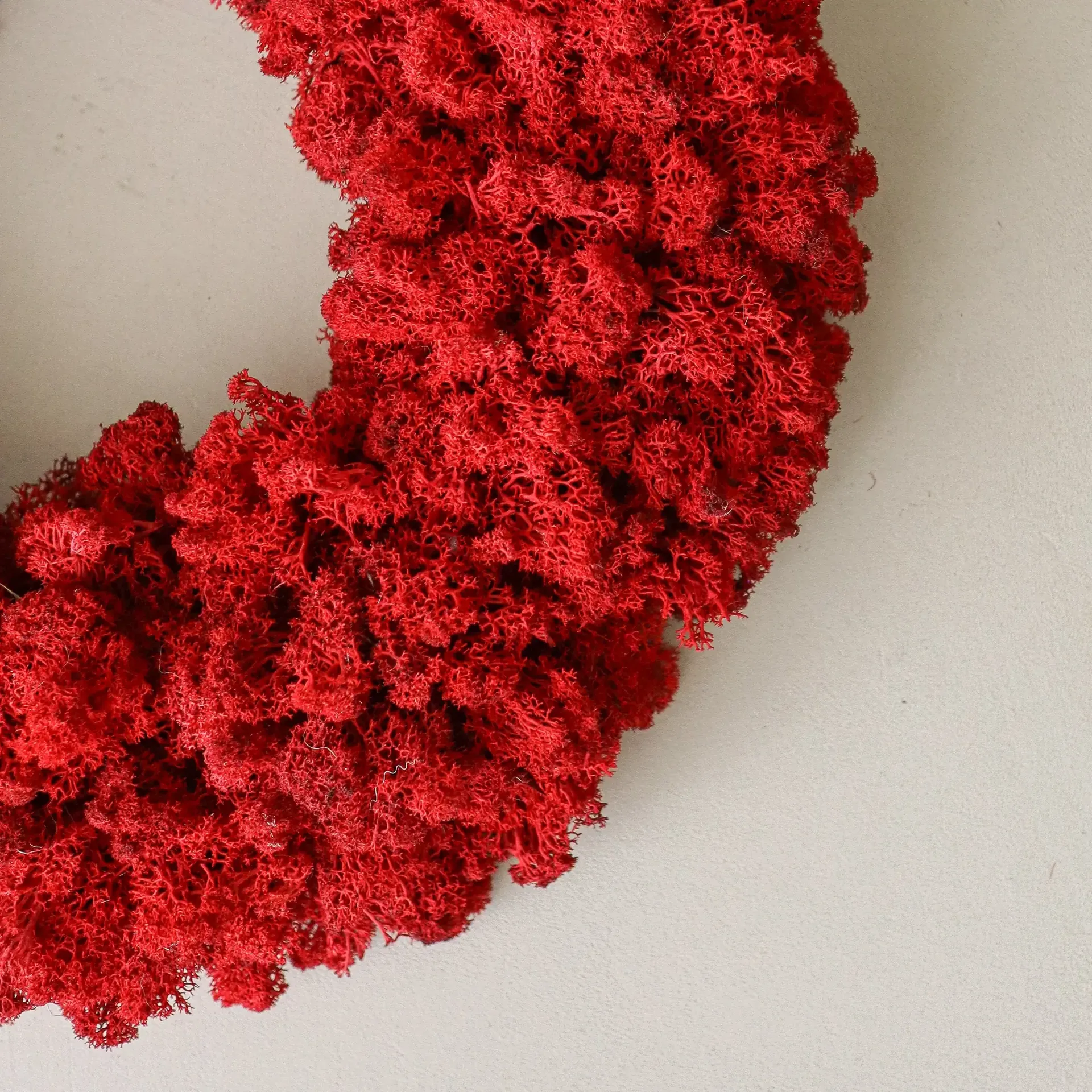 Corona de musgo Moss Wreath, Red, Ø40 cm Botané