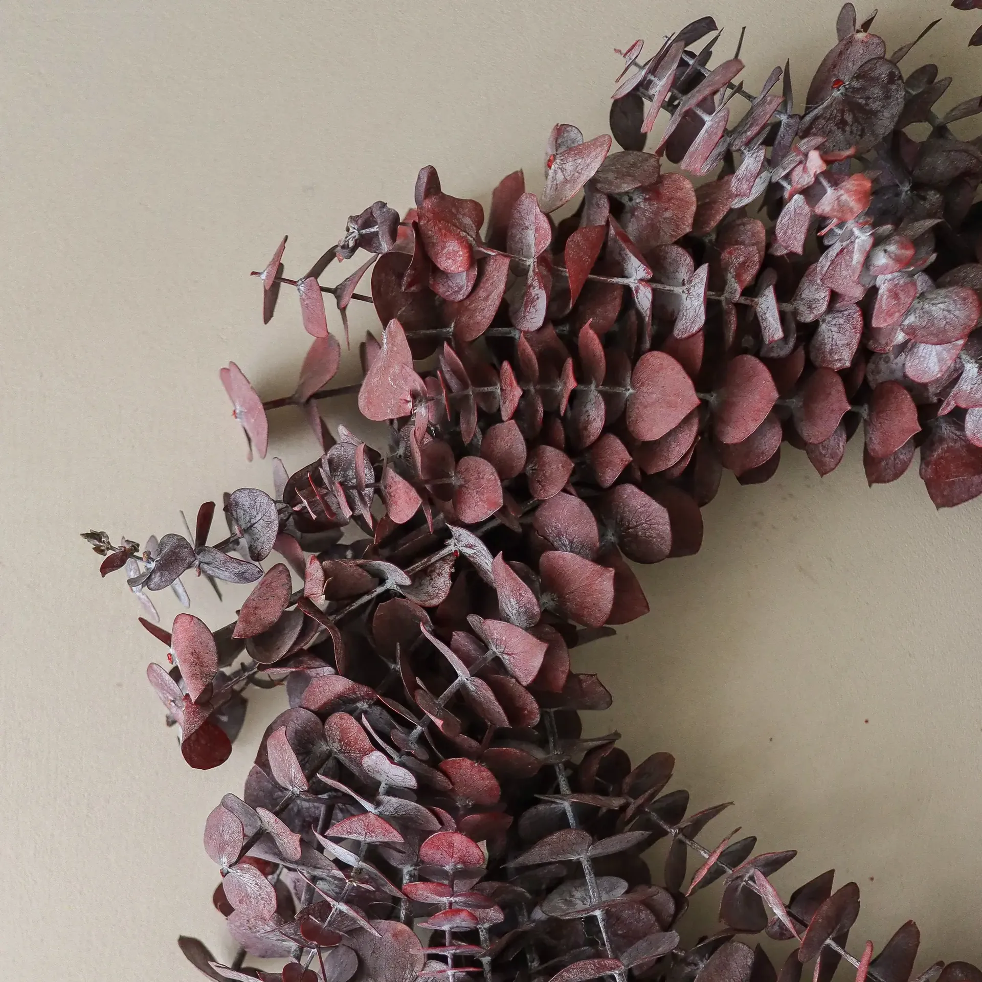 Corona Eucalyptus Wreath, Dark red, Ø40 cm Botané