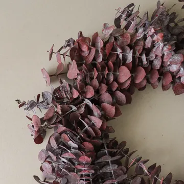 Corona Eucalyptus Wreath - Dark red, Ø40 cm - Botané