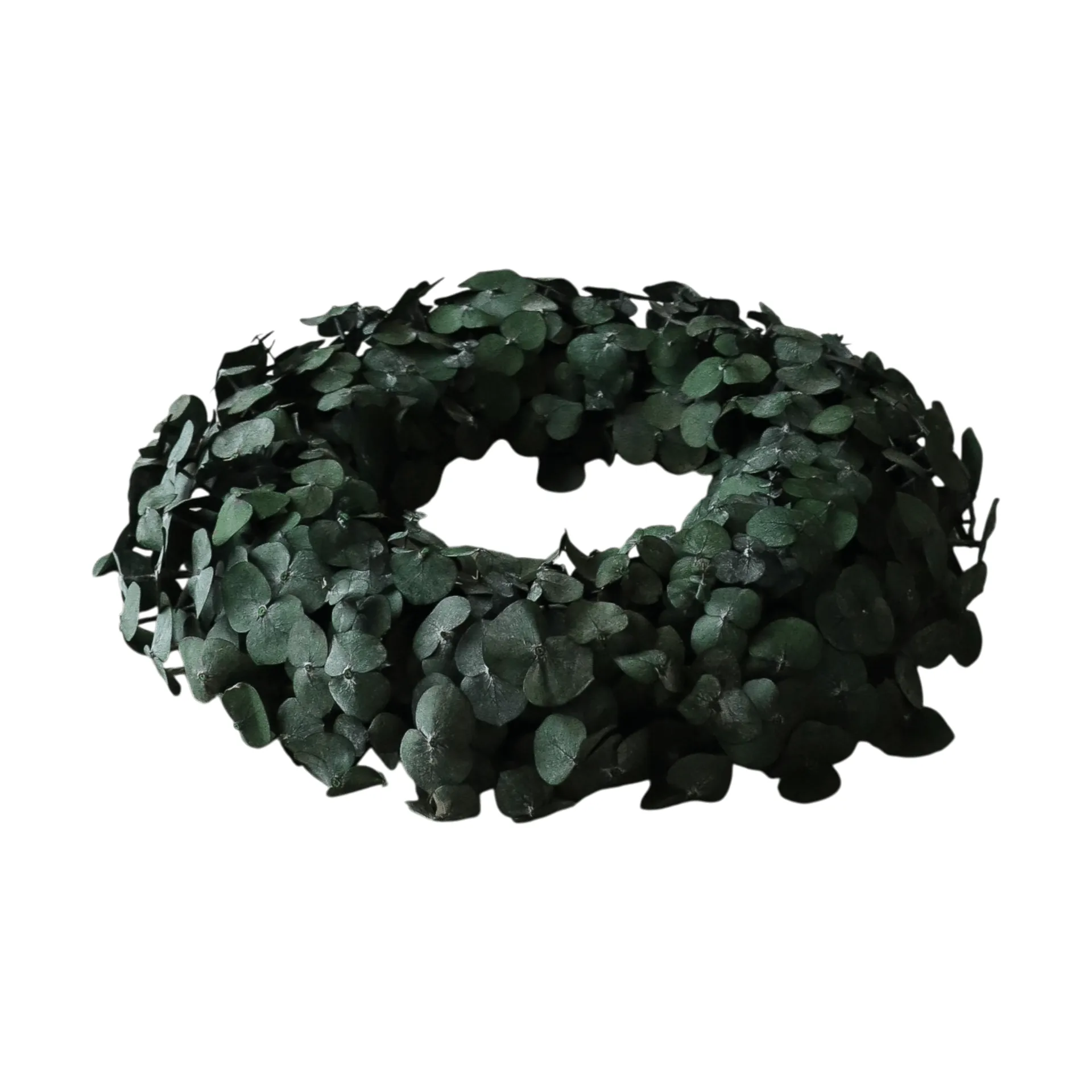 Corona Eucalyptus Wreath, Green, Ø40 cm Botané