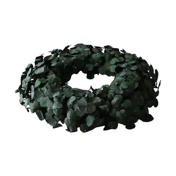 Corona Eucalyptus Wreath - Green, Ø40 cm - Botané
