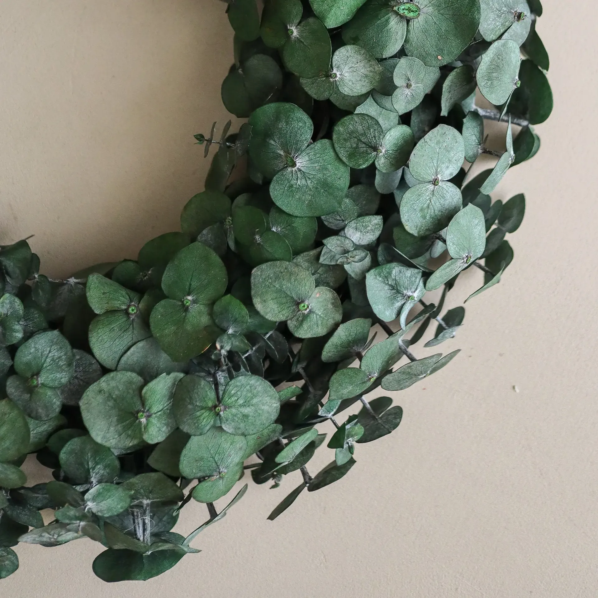 Corona Eucalyptus Wreath, Green, Ø40 cm Botané