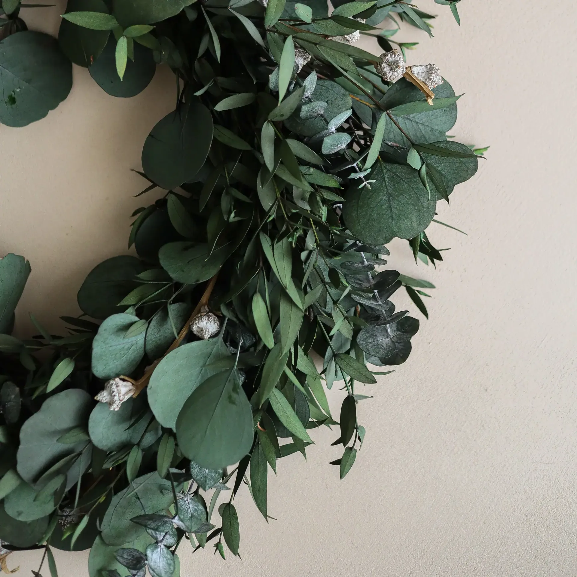 Corona Eucalyptus Wreath, Green mixed, Ø40 cm Botané