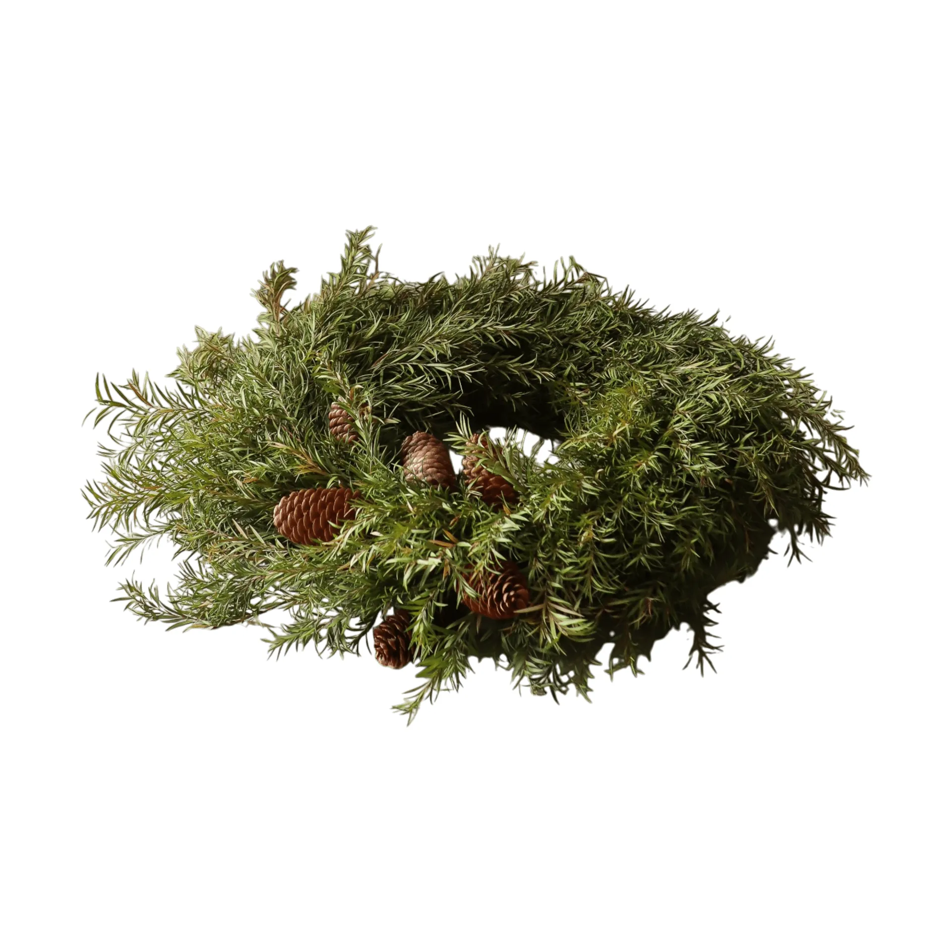 Corona Evergreen Pine Wreath, Ramas de abeto, Ø40 cm Botané