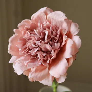 Flor artificial de peonía - Dusty pink, 56 cm, 1 ud. - Botané