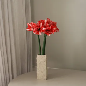 Flor sintética Amaryllis - Rojo oscuro, 72 cm - Botané