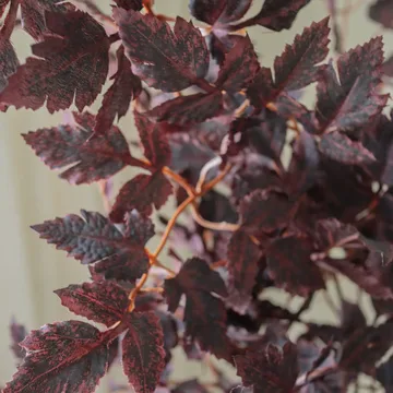 Ramo artificial Burgundy Plum Leaves - Red, 85 cm, 1 ud. - Botané