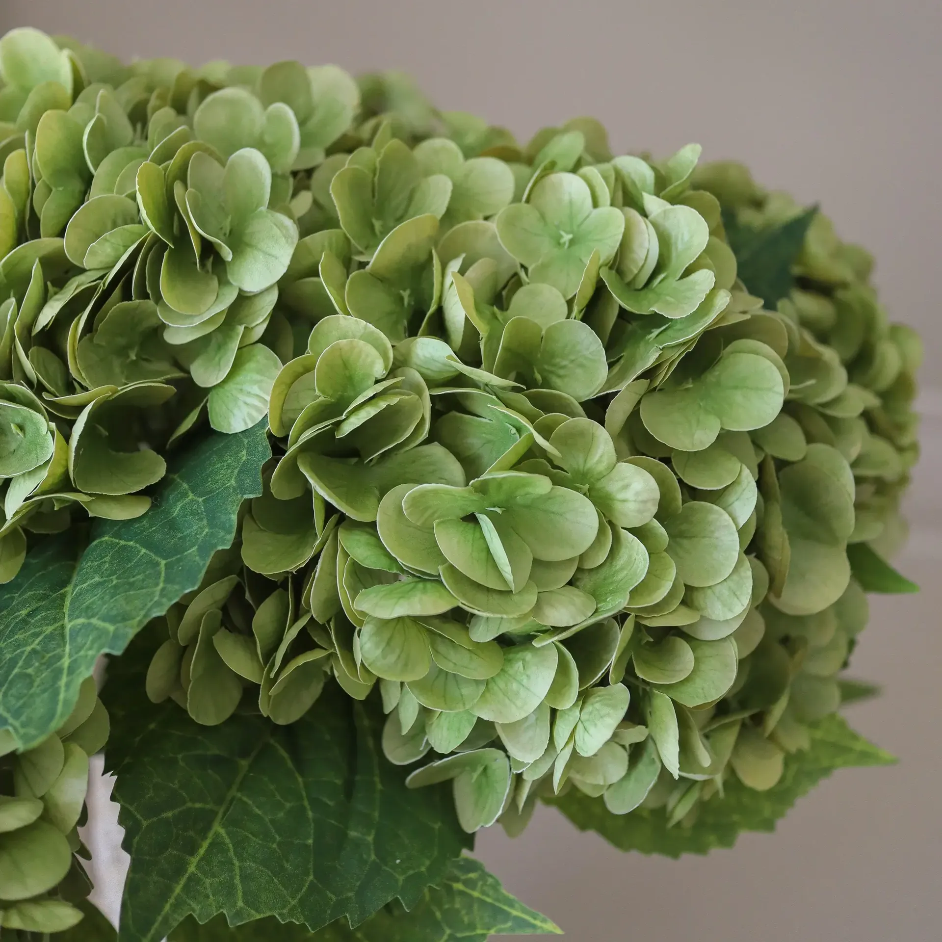 Ramo artificial de hortensias, Moss green, 51 cm, 6 uds Botané