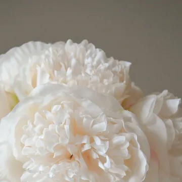 Ramo artificial de peonías - Mini, cream, 10 ud. - Botané