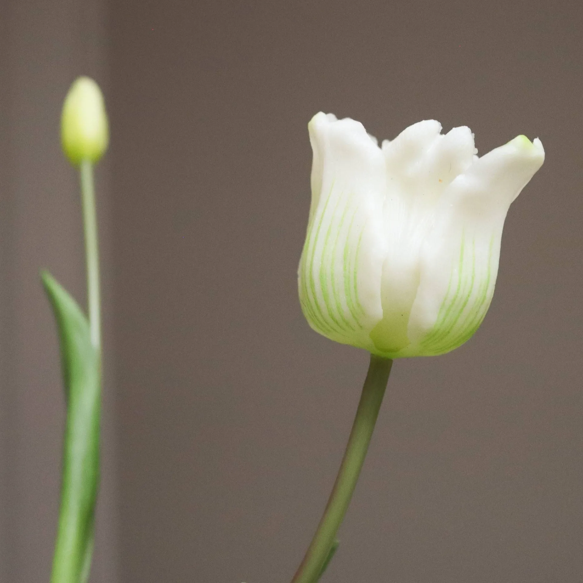 Ramo artificial de tulipanes Triumph, Blanco, 10 ud. Botané