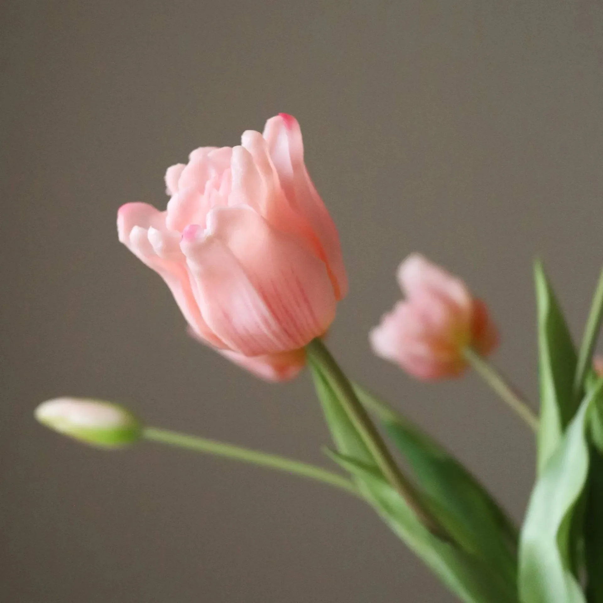 Ramo artificial de tulipanes Triumph, Rosa claro, 10 ud. Botané