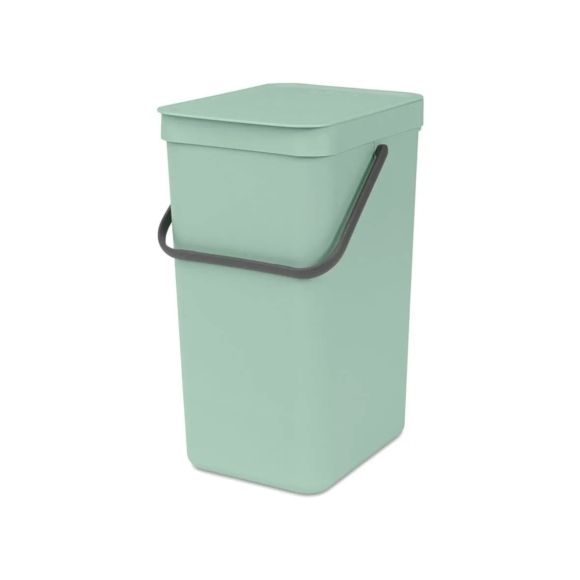 Cubo de basura Sort & Go 16 L Brabantia