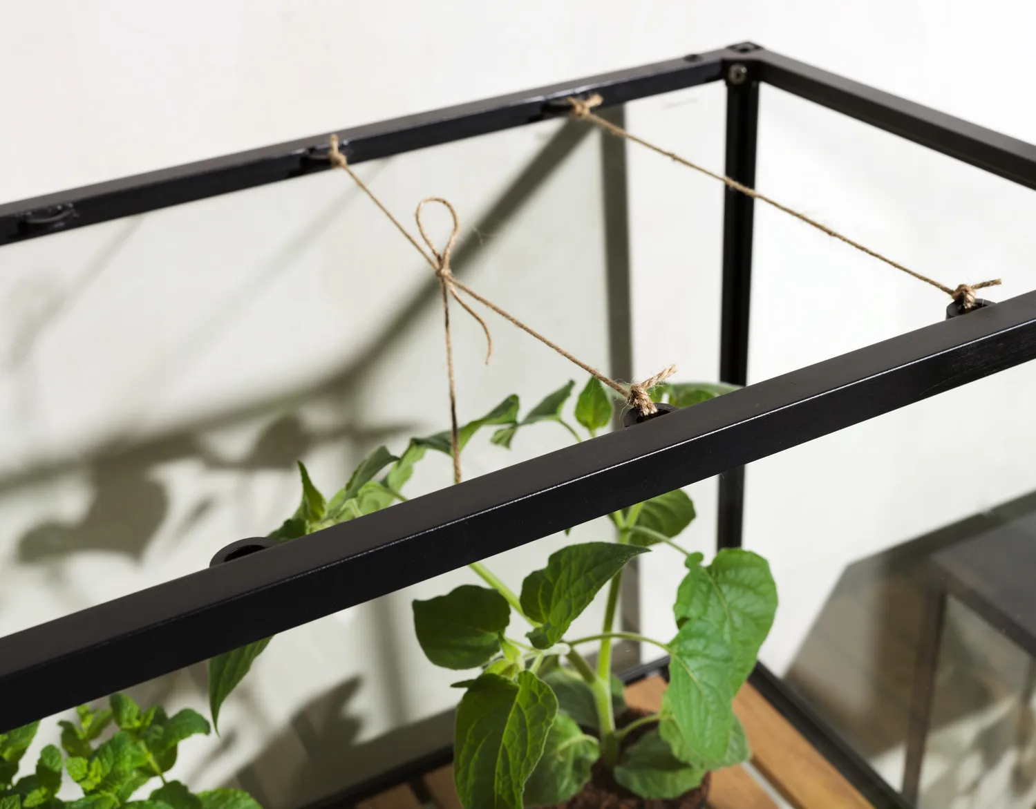 Armario para plantas Grower Greens, Negro, 81x137 cm Brafab