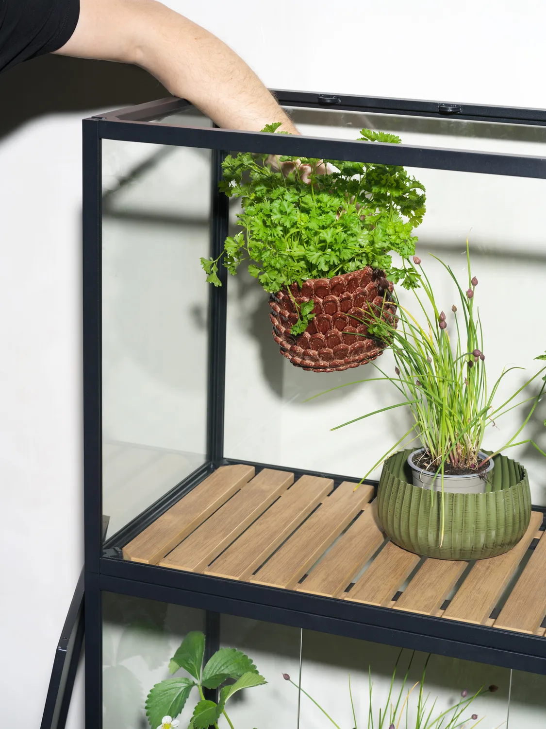 Armario para plantas Grower Greens, Negro, 81x137 cm Brafab