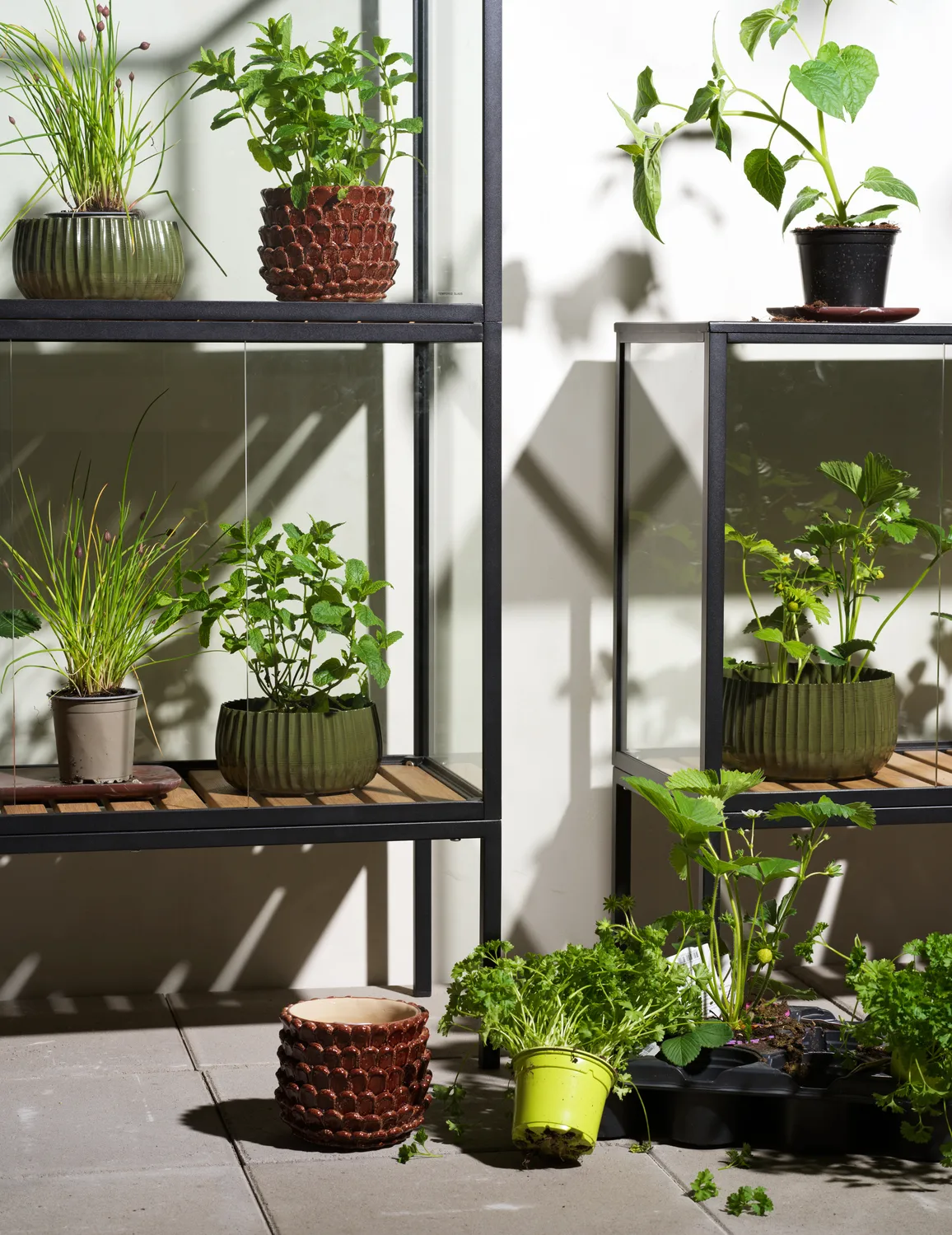 Armario para plantas Grower Greens, Negro, 81x82 cm Brafab