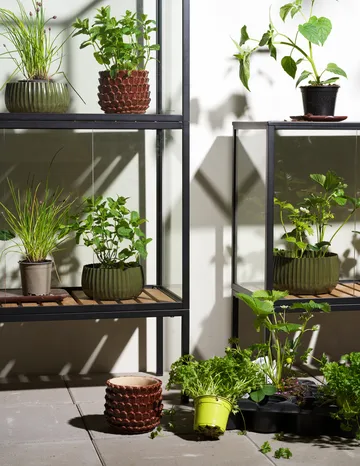 Armario para plantas Grower Greens - Negro, 81x82 cm - Brafab