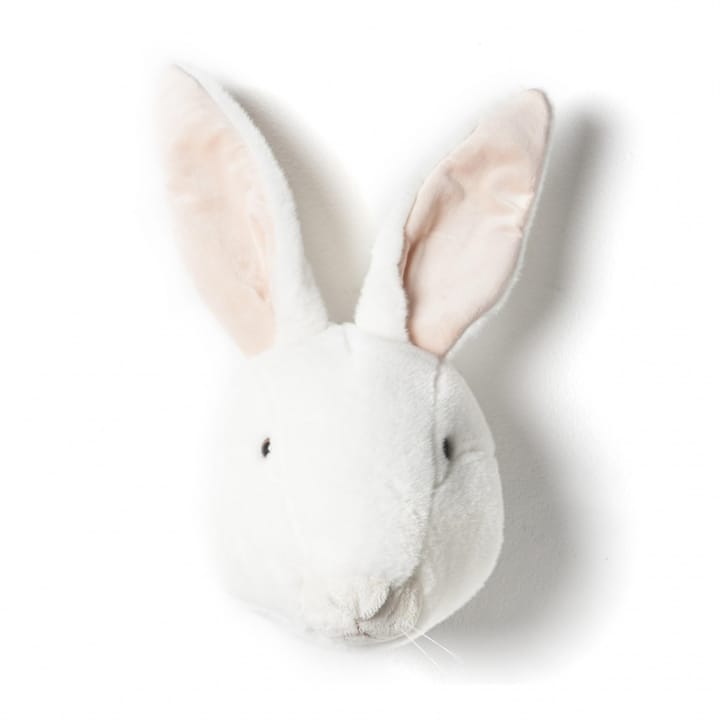 Cabeza de conejo para pared - conejo - Brigbys