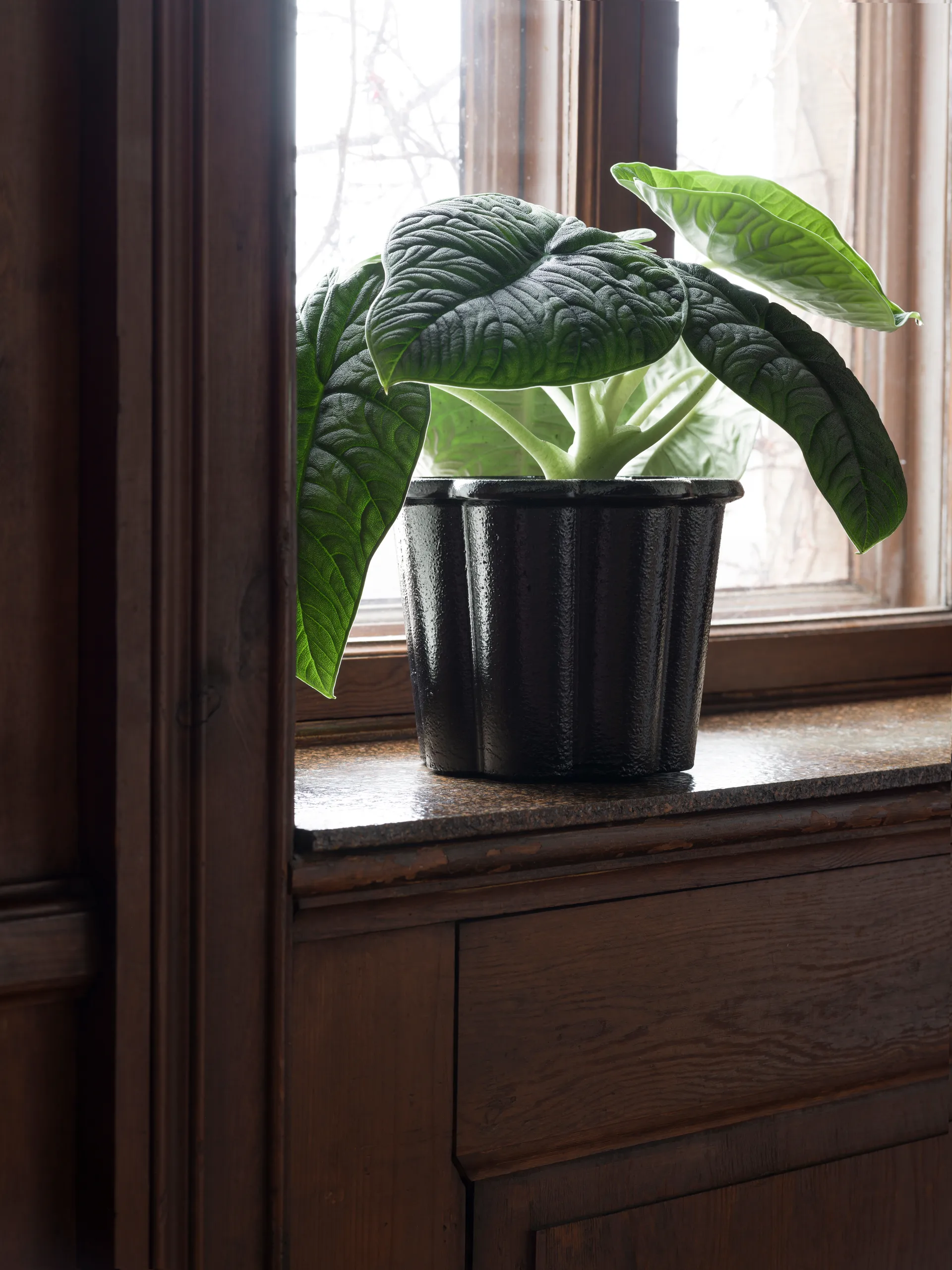 Maceta alta Fjällsippa Ø26x21 cm, Negro Byarums bruk