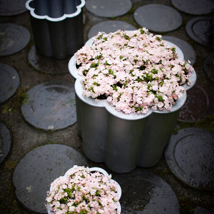 Maceta Gråsippa, Negro, n. 3 Ø62 cm Byarums bruk