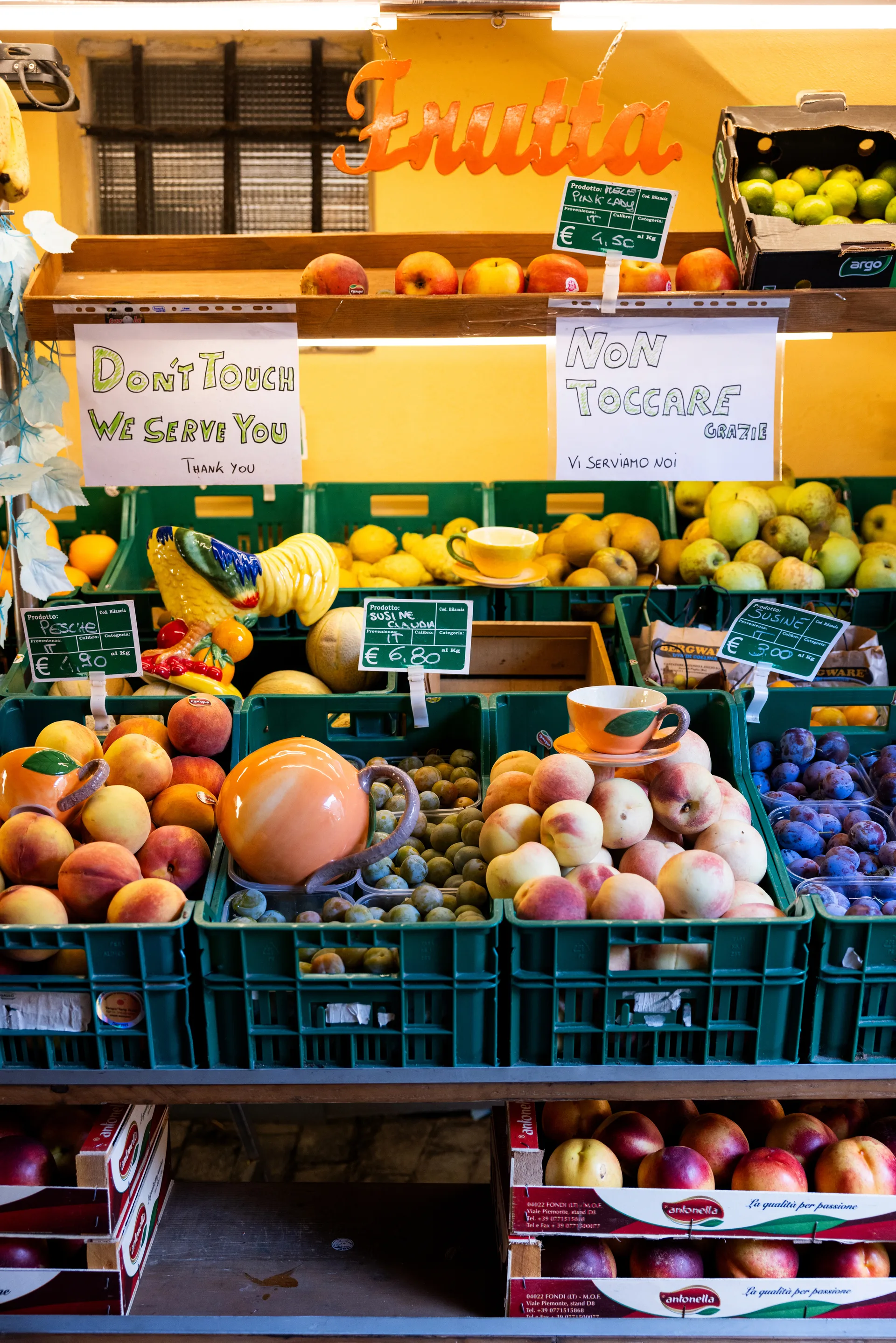 Bol Fruity Rooster, Amarillo Byon