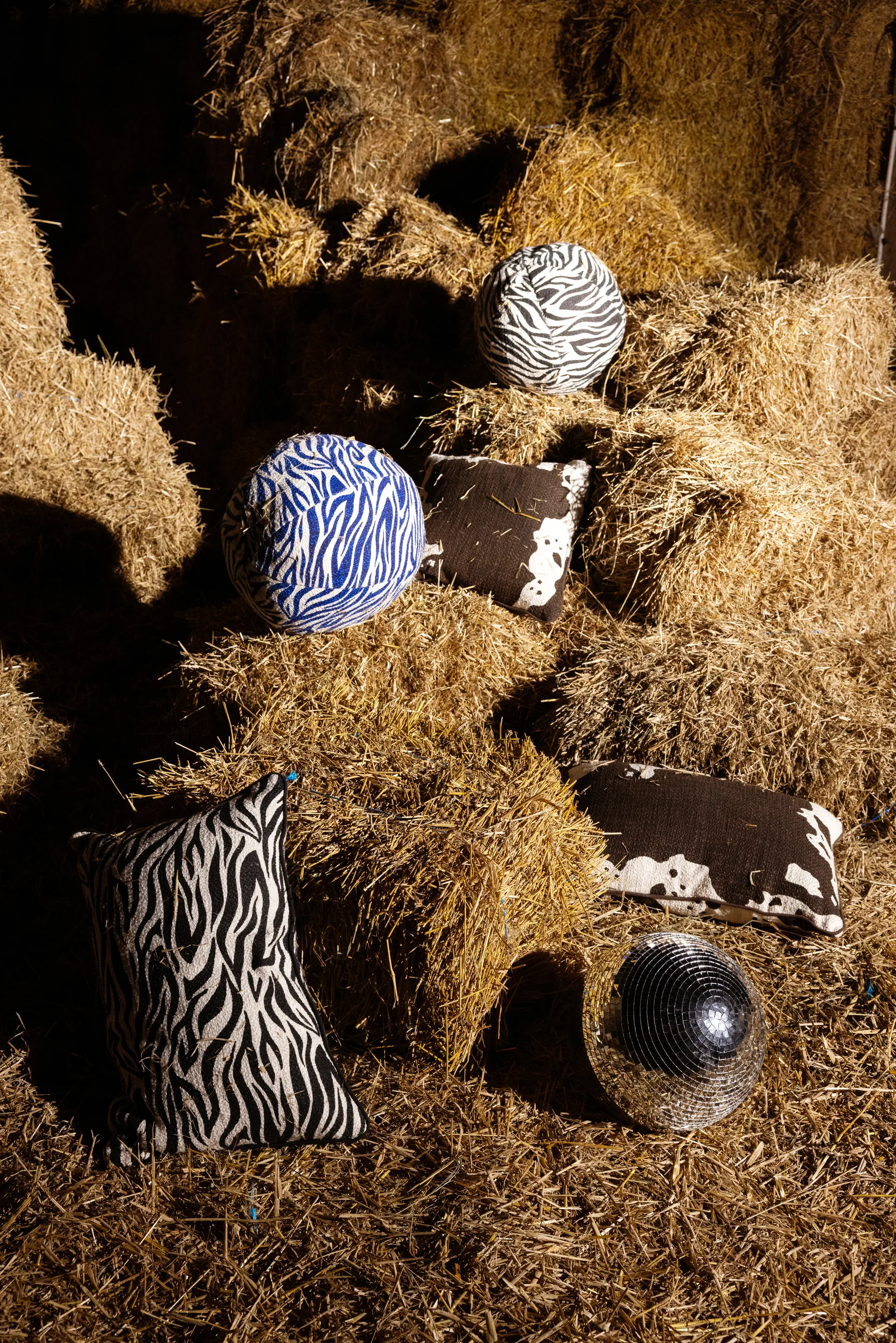 Cojín Anima Ø35 cm, Zebra-azul Byon