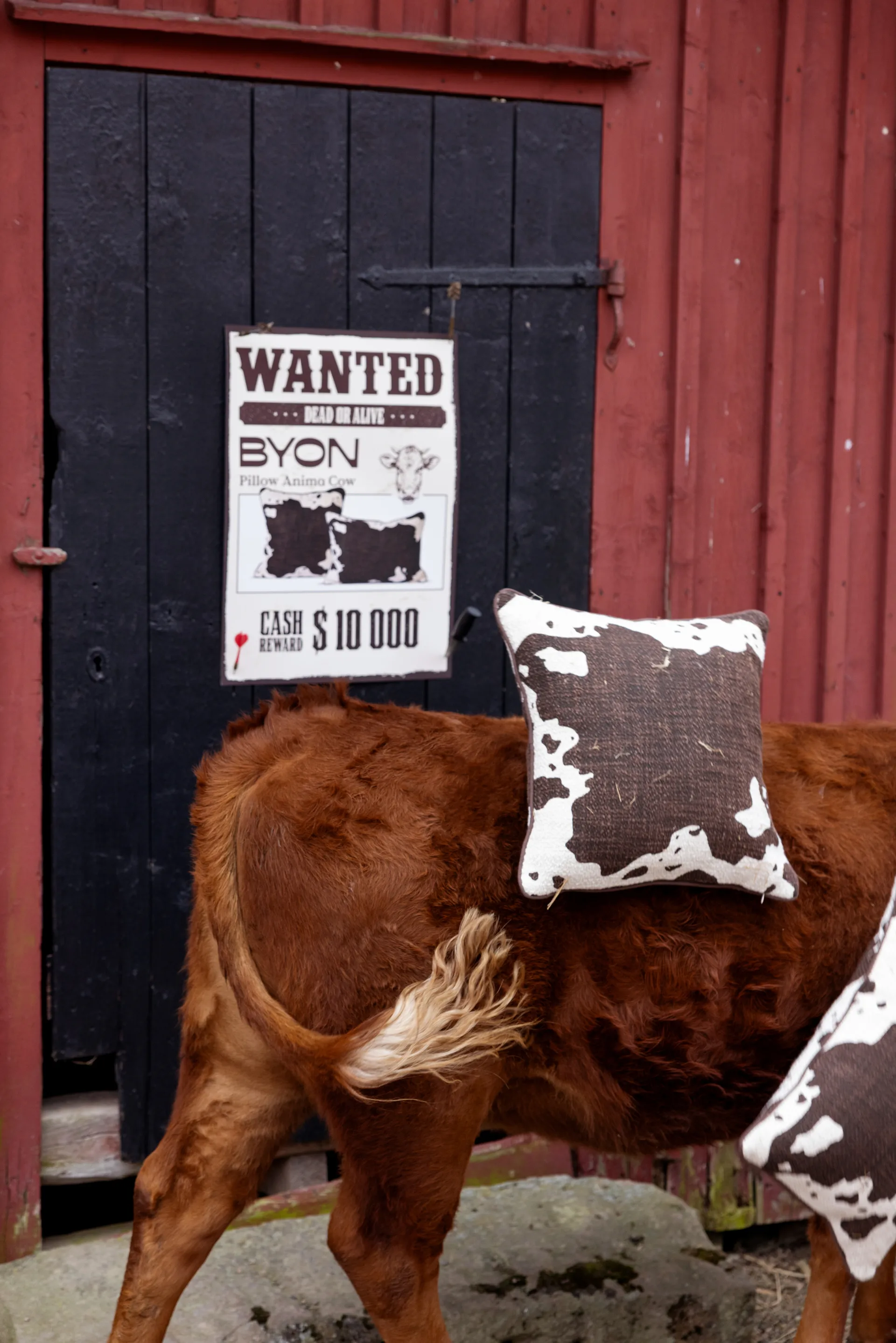 Cojín Anima M 50x50 cm, Cow Byon