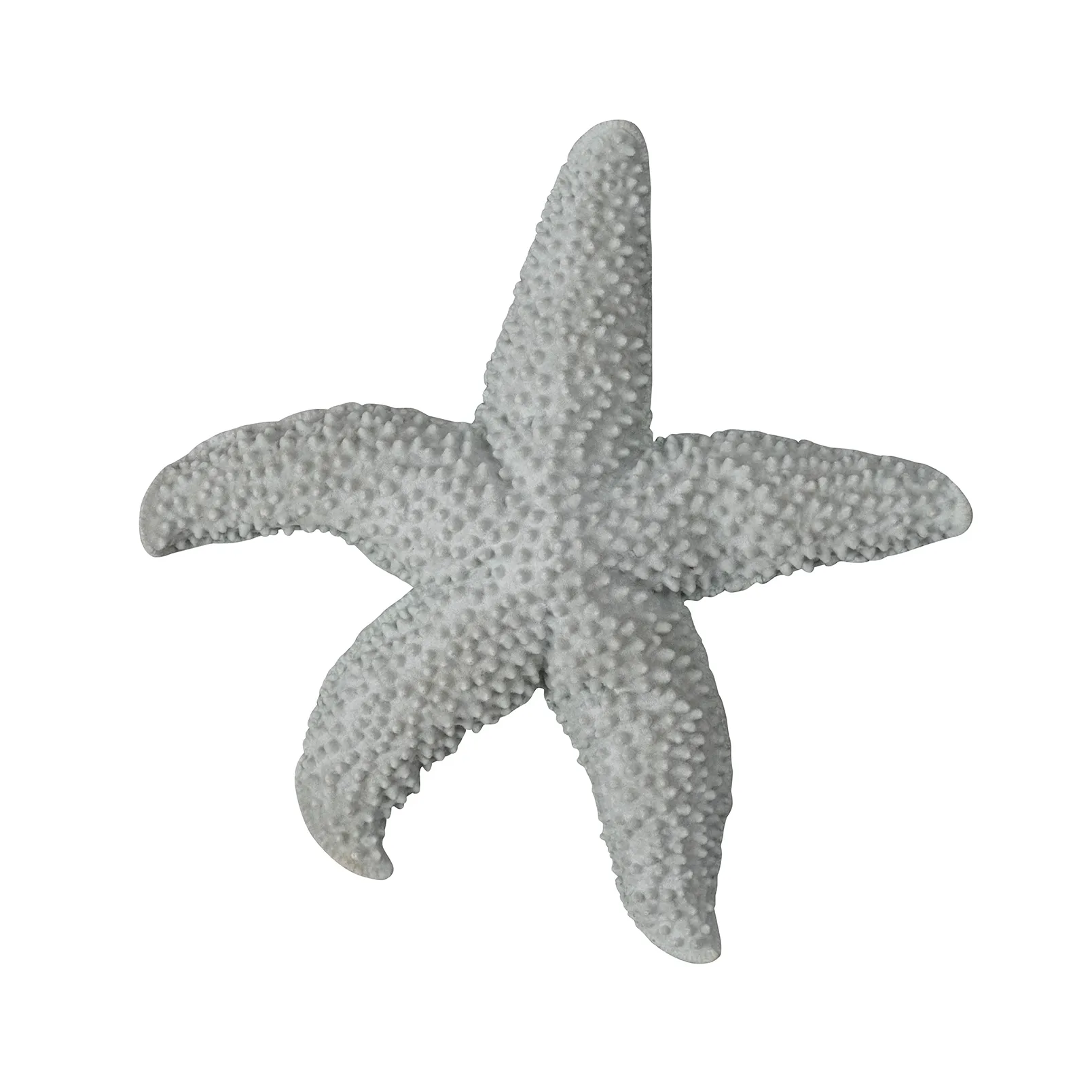 Estrella de mar Mandy, Gris Byon