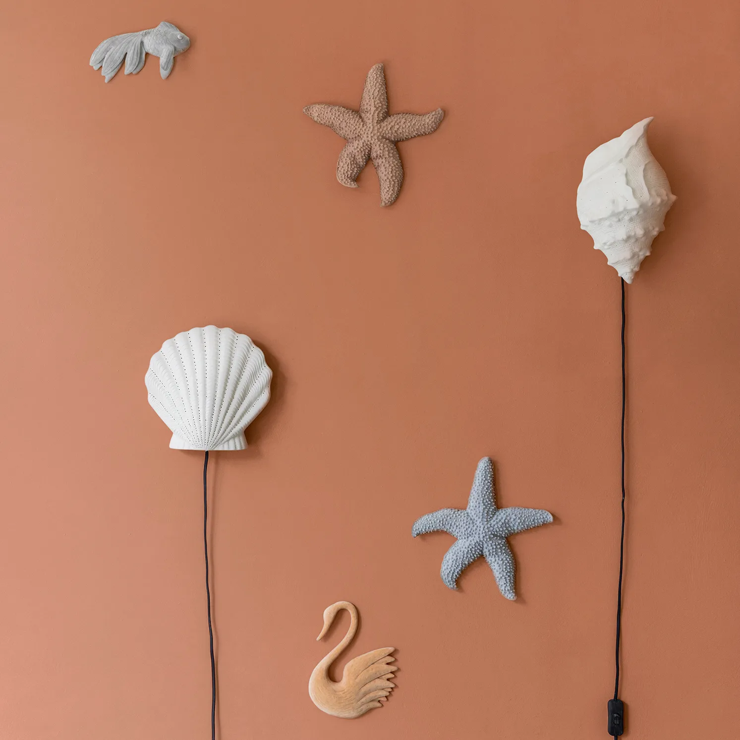 Estrella de mar Mandy, Gris Byon
