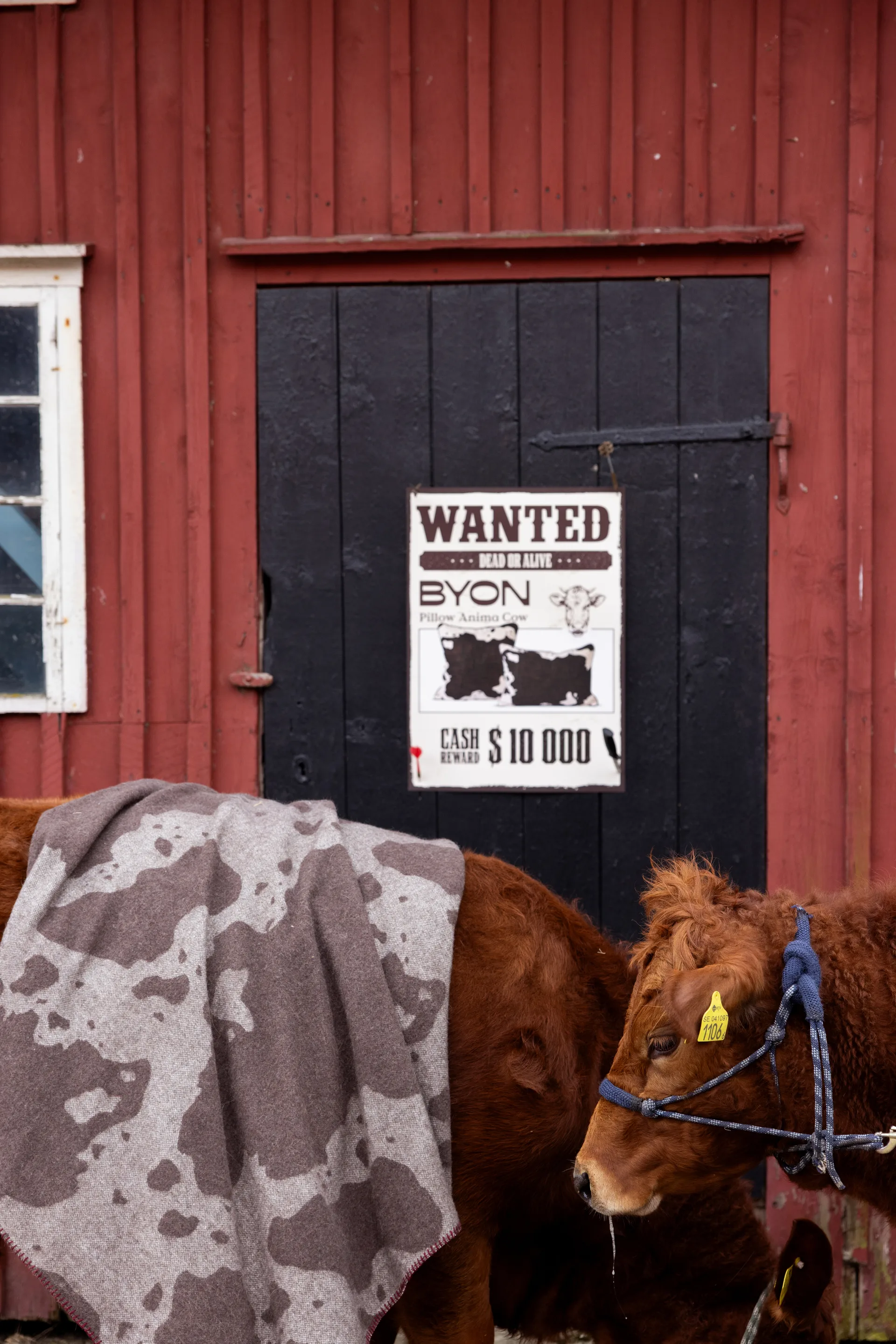 Manta Anima 130x200 cm, Cow Byon