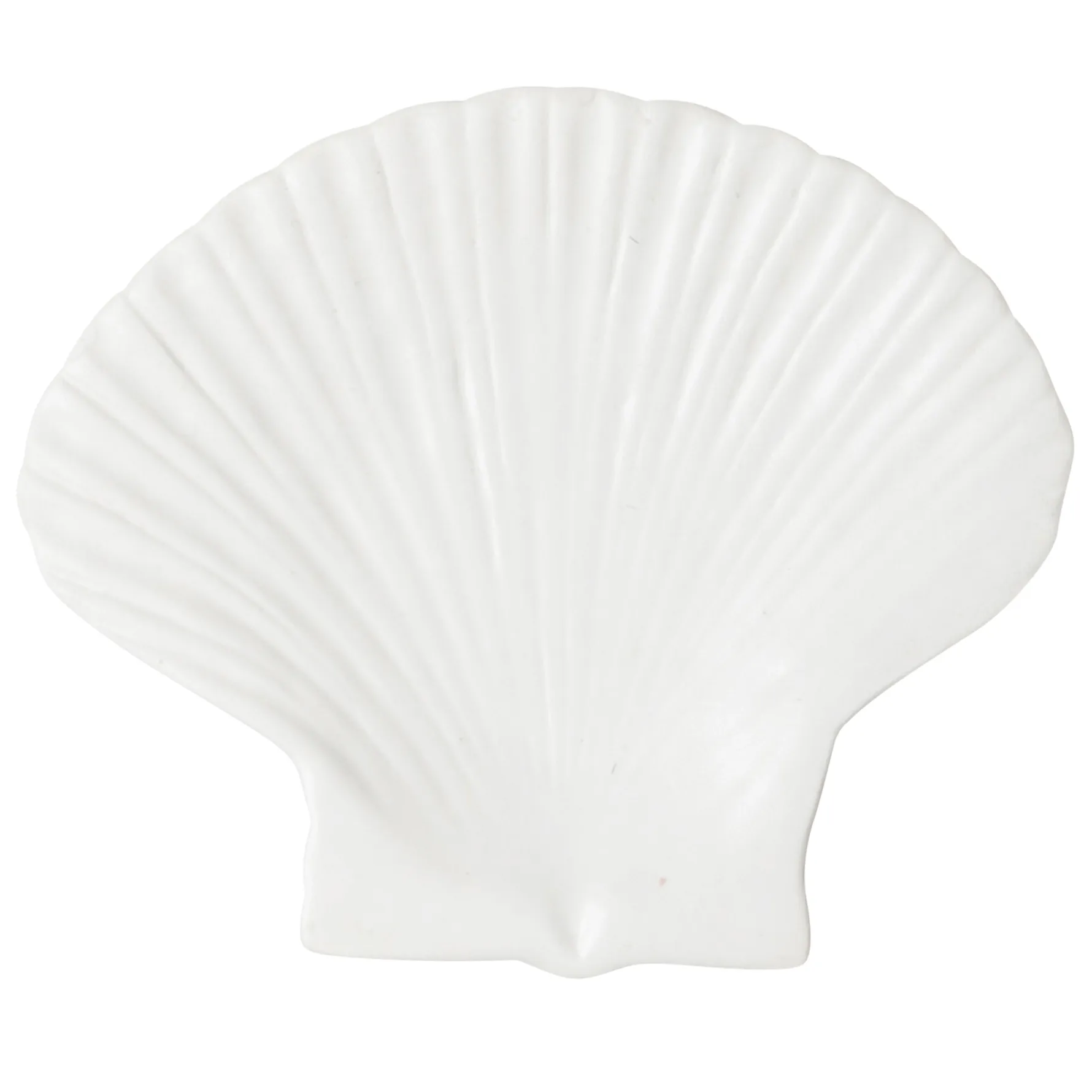 Plato Shell, grande Byon
