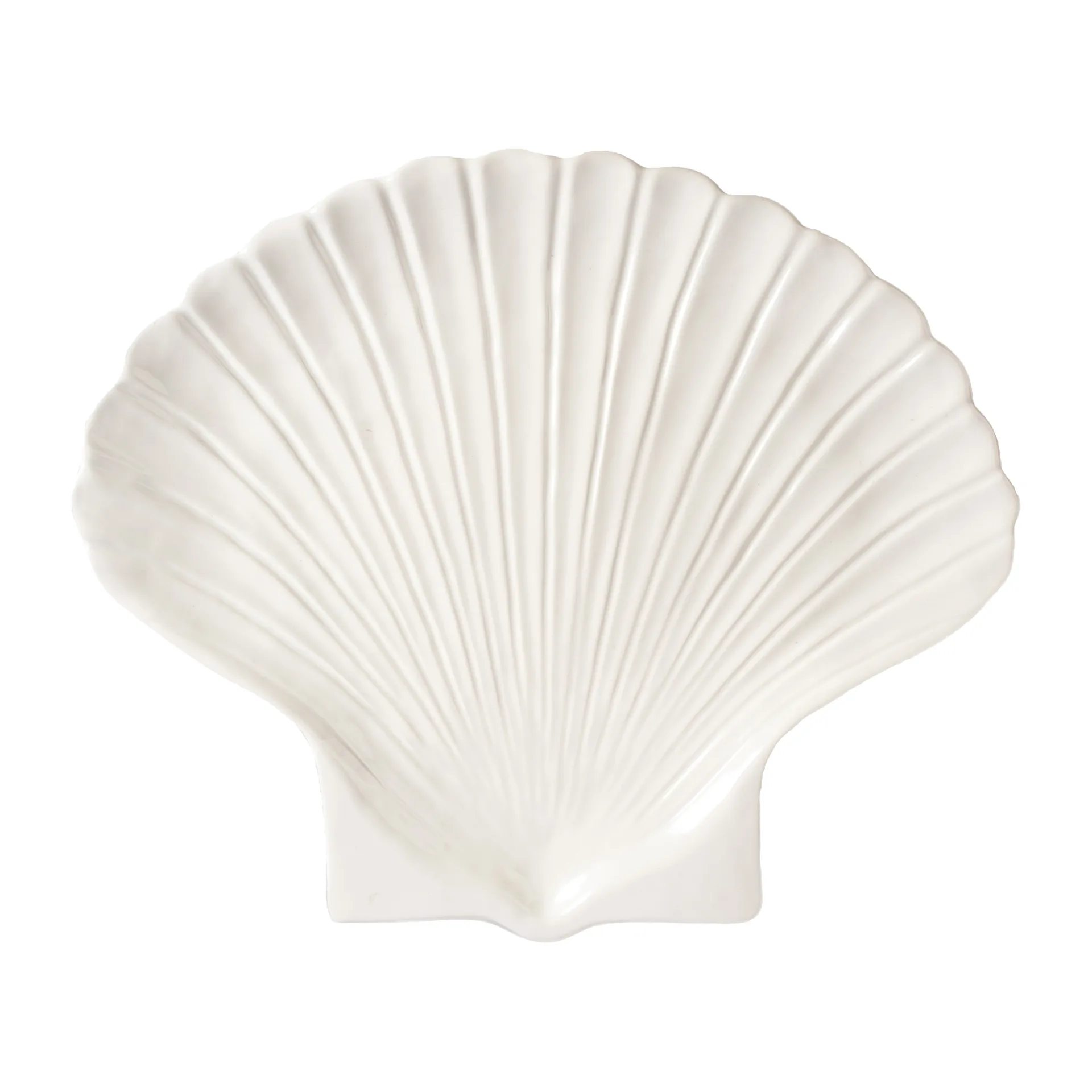 Plato Shell, XL Byon