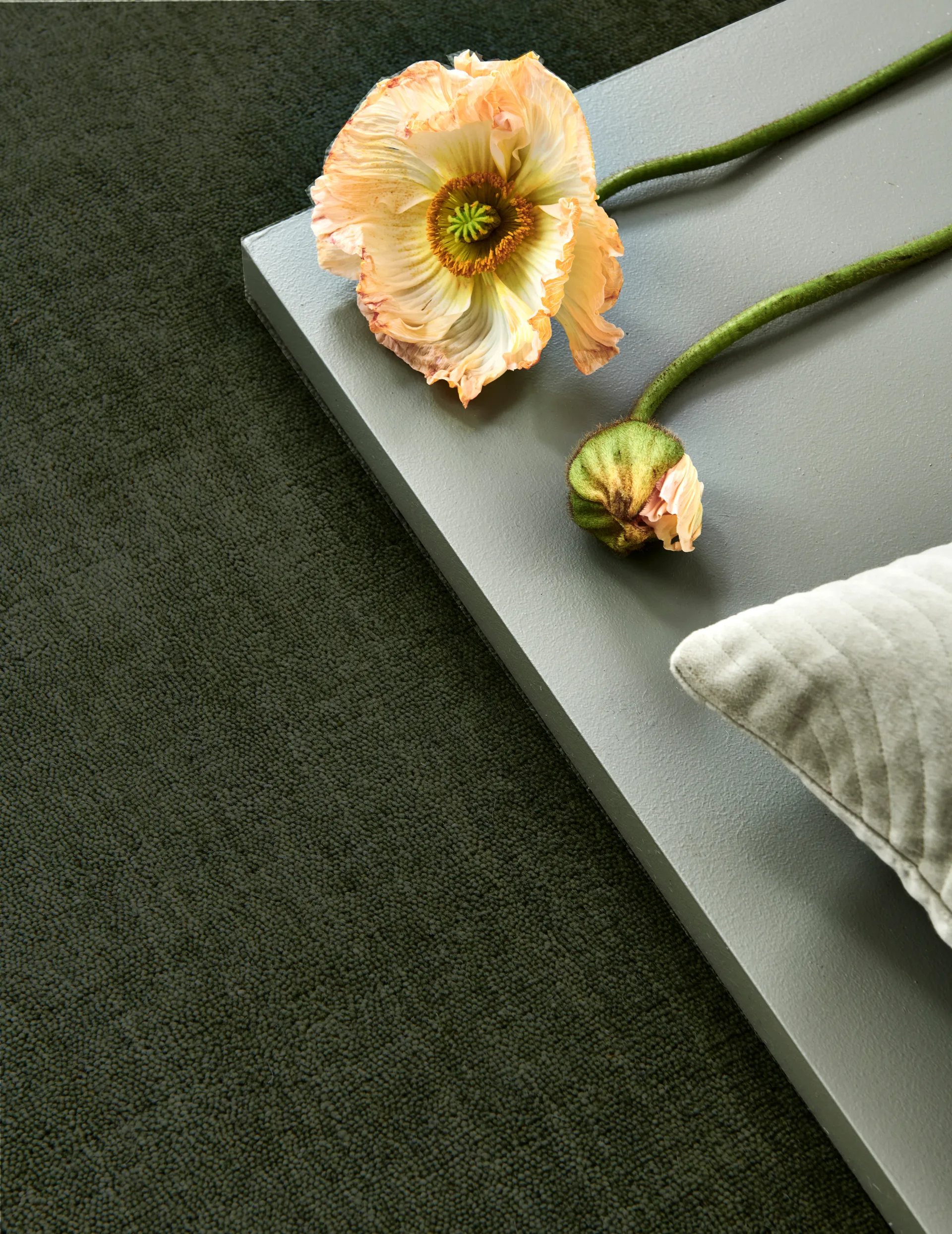 Alfombra Solid, Verde, 170x230 cm Classic Collection