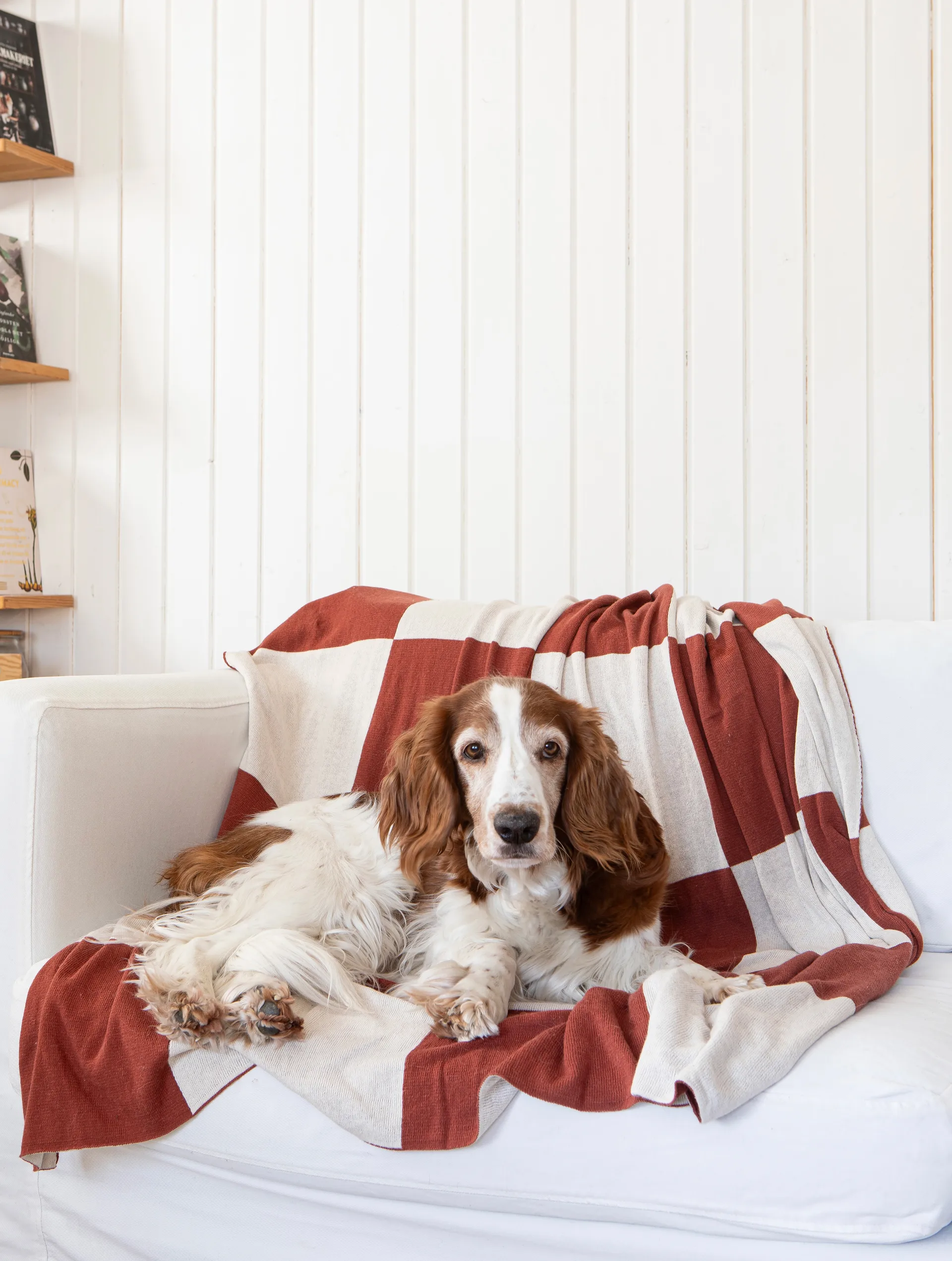 Manta Square 130x170 cm, Marrón oscuro Classic Collection