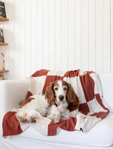 Manta Square 130x170 cm - Marrón oscuro - Classic Collection